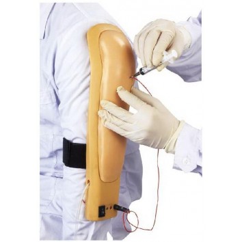 ADVANCED INTRAMUSCULAR INJECTION TRAINING ARM (SOFT)